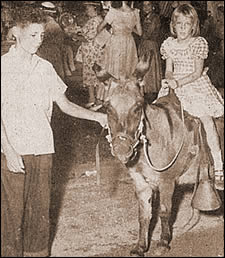 Wally and donkey.
